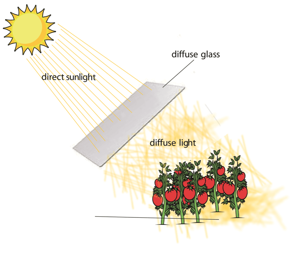 Types of Sunlight