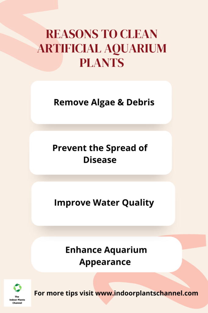 Why You Should Clean Artificial Aquarium Plants