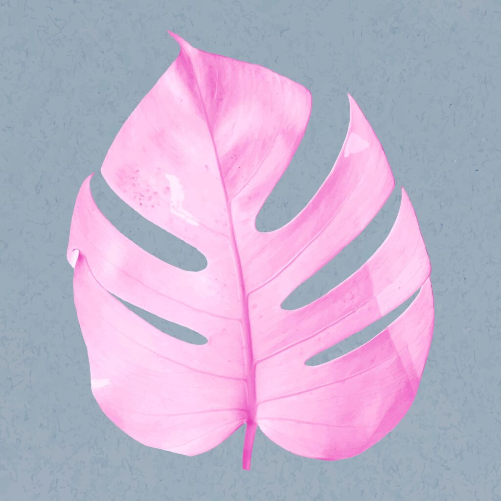 Pink-leaf philodendron