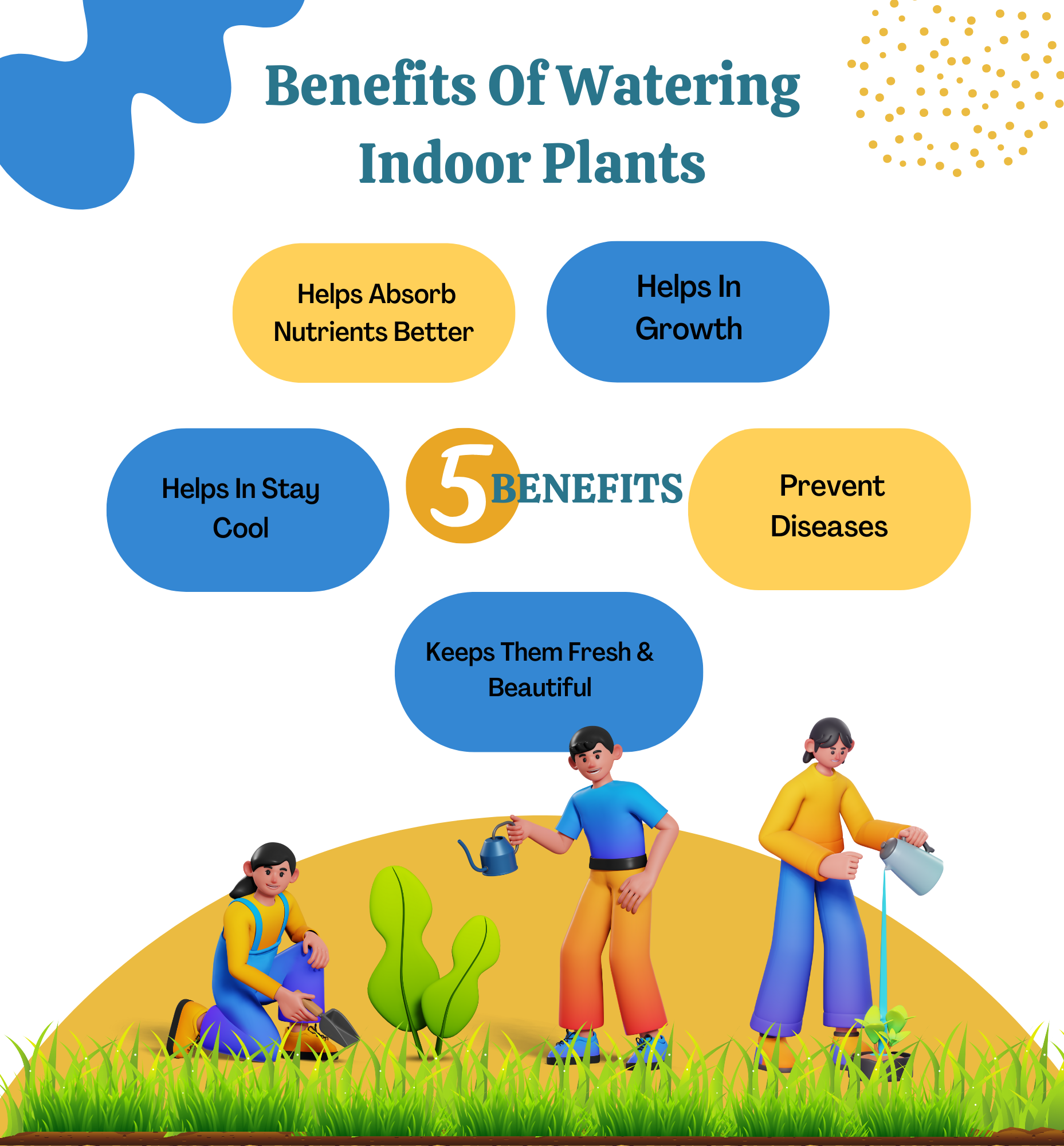 5 Benefits Of Watering Your Indoor Plants