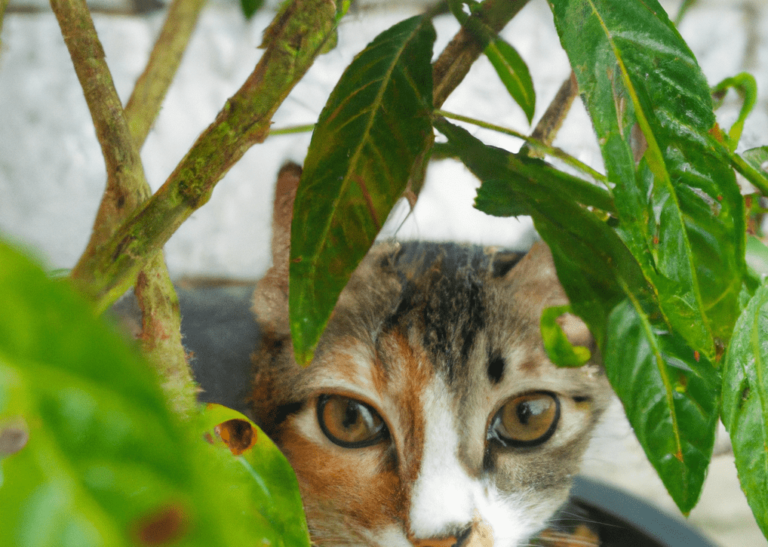 Best Resilient Plants For Pet-friendly Homes