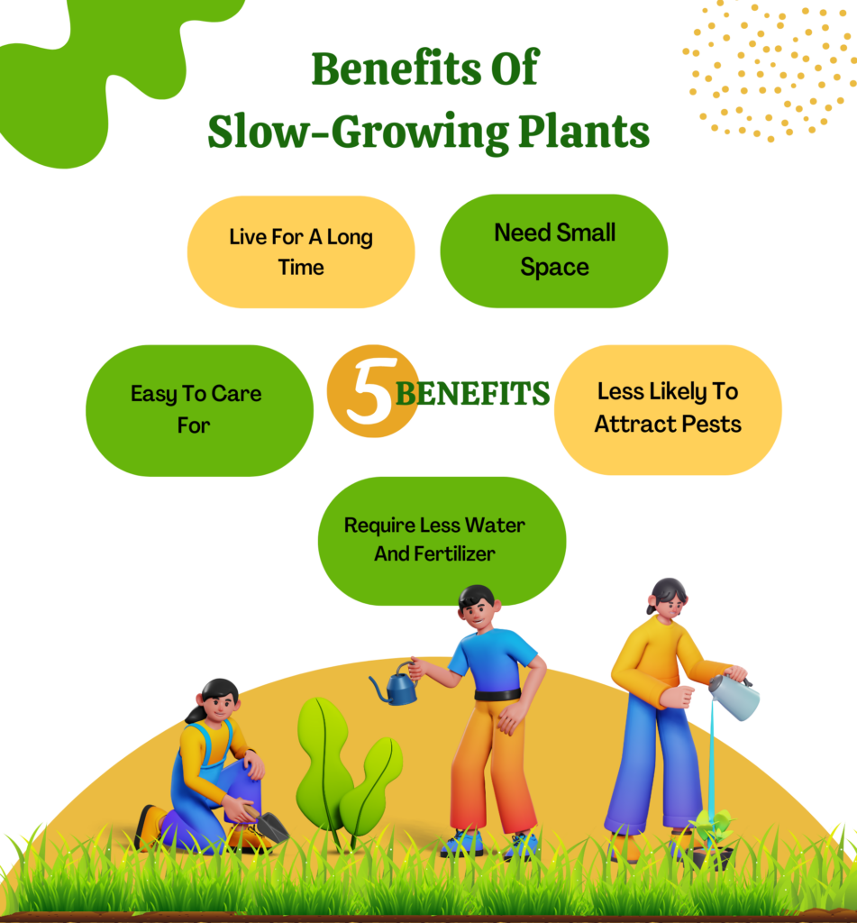 5 benefits of slow growing plants.