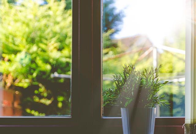 artificial houseplant under sunlight