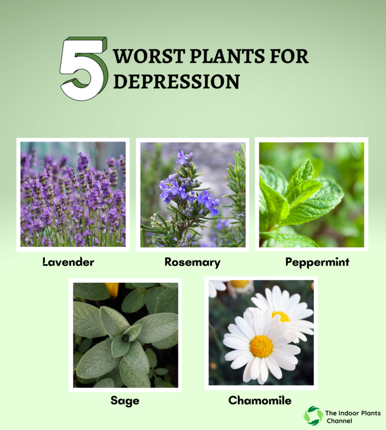 The Power Of Nature How Plants Can Help With Depression