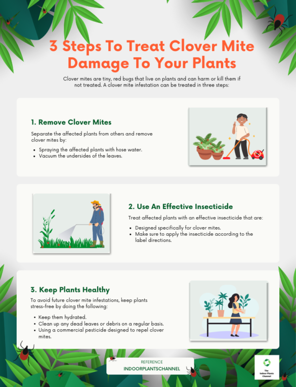 What Do Clover Mites Eat And Why Are They Attracted To Plants