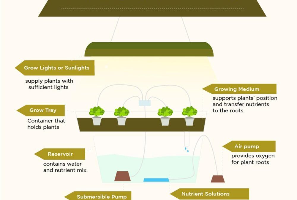 Indoor Hydroponic Herbs: Build Your Own System (With Plans)