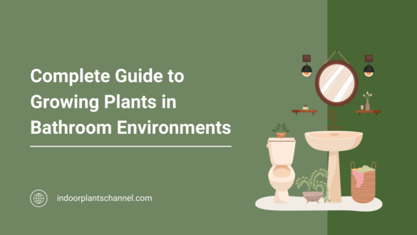 Complete Guide to Growing Plants in Bathroom Environments