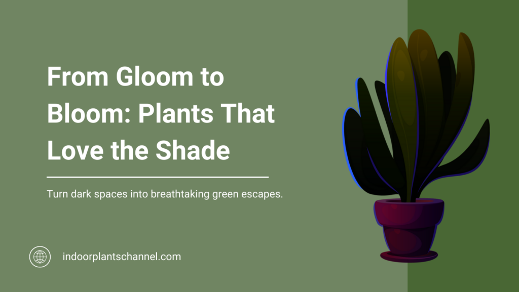 From Gloom to Bloom: Plants That Love the Shade