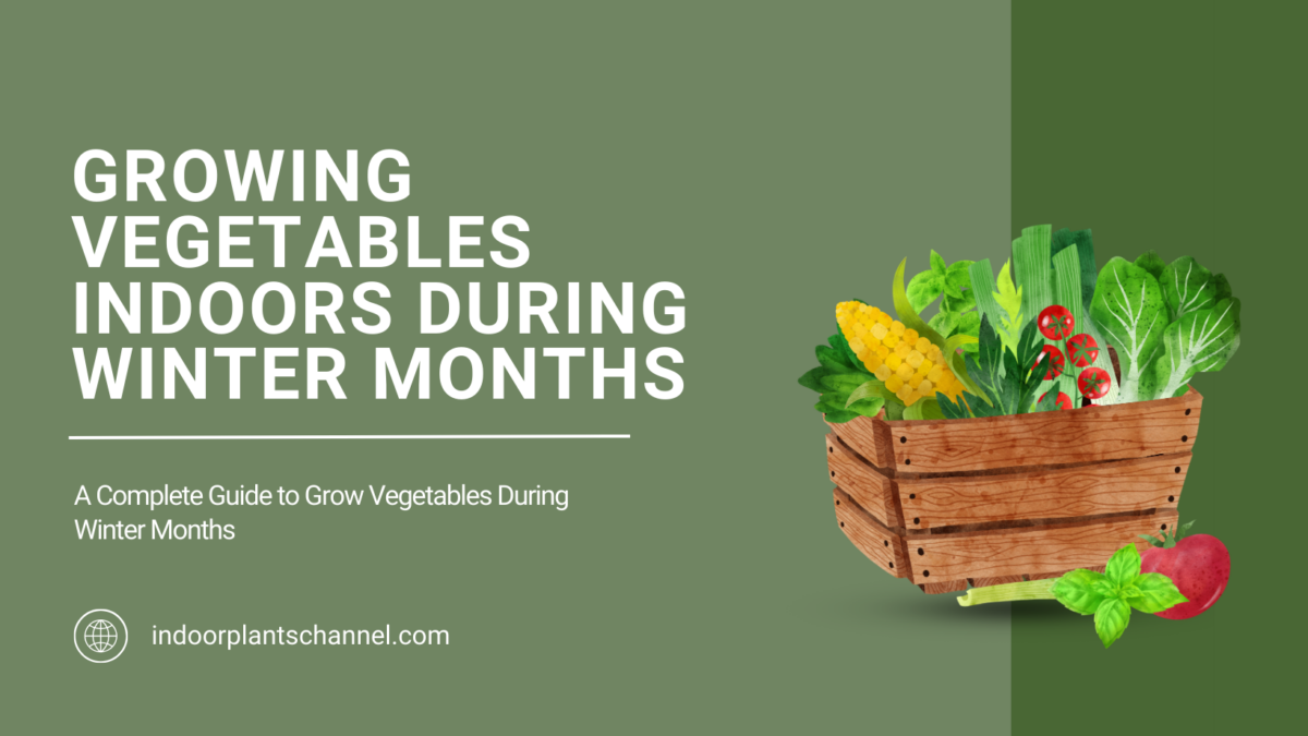 Complete Guide to Growing Vegetables Indoors During Winter Months