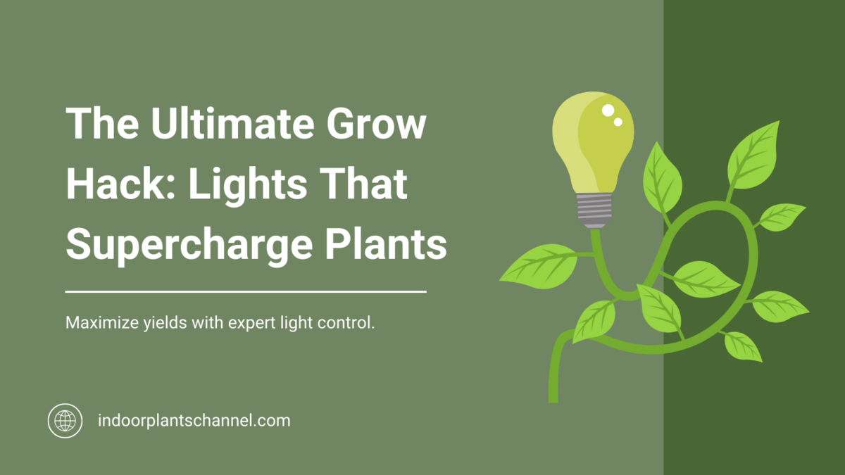 The Ultimate Grow Hack: Lights That Supercharge Plants