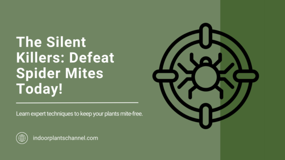 The Silent Killers: Defeat Spider Mites Today!