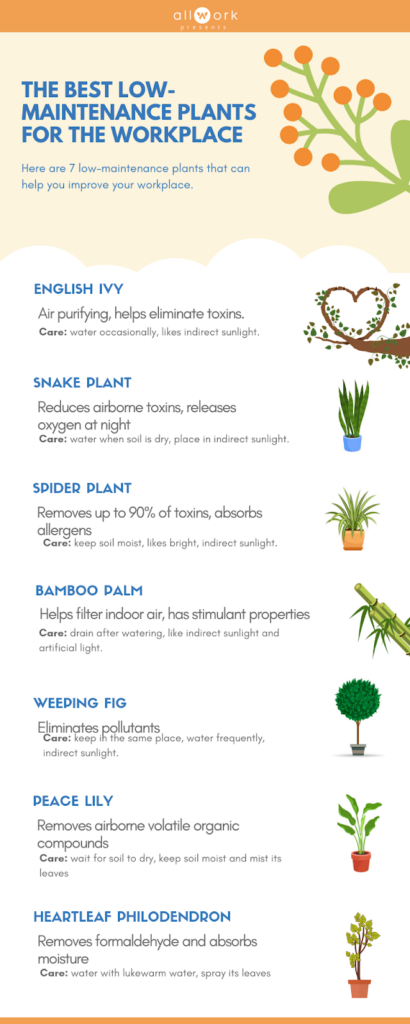 The 7 Best Low-Maintenance Plants For The Workplace