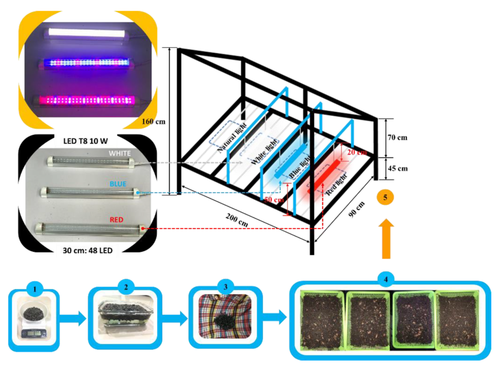 Narrow-Band Light-Emitting Diodes LEDs Effects on Sunflower ...