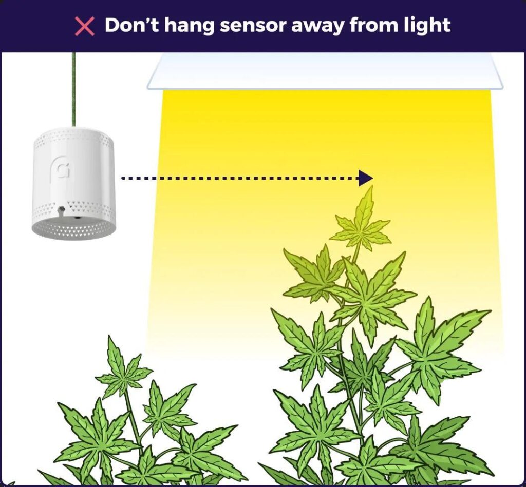 Mastering Temperature Control in Your Grow Room