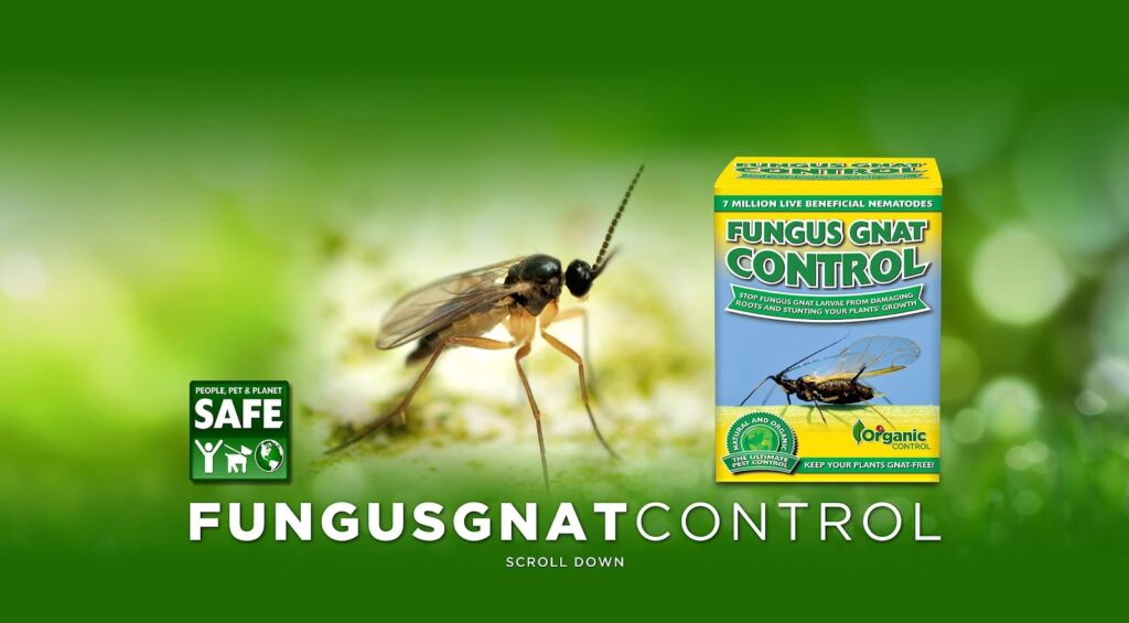 Fungus Gnat Control - Organic Control, Inc.