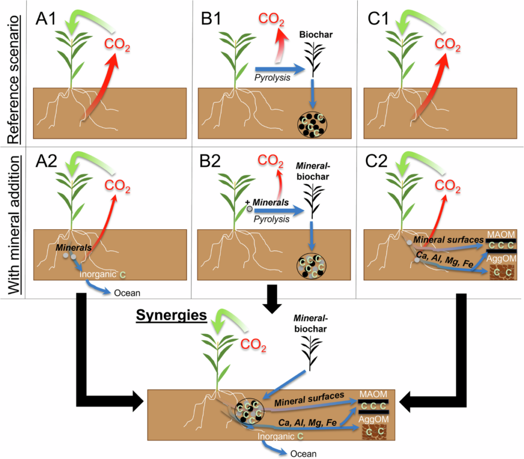 Applying minerals to soil to draw down atmospheric carbon dioxide ...