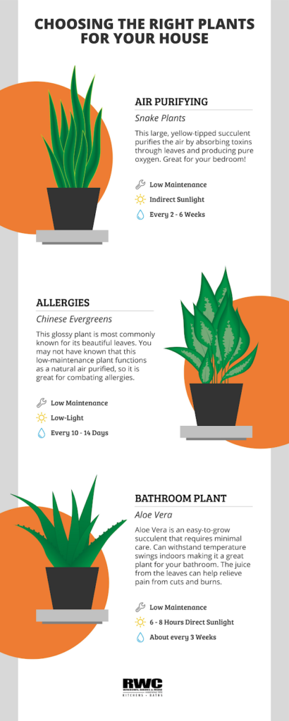 Choosing The Right Plants For Your House Infographic