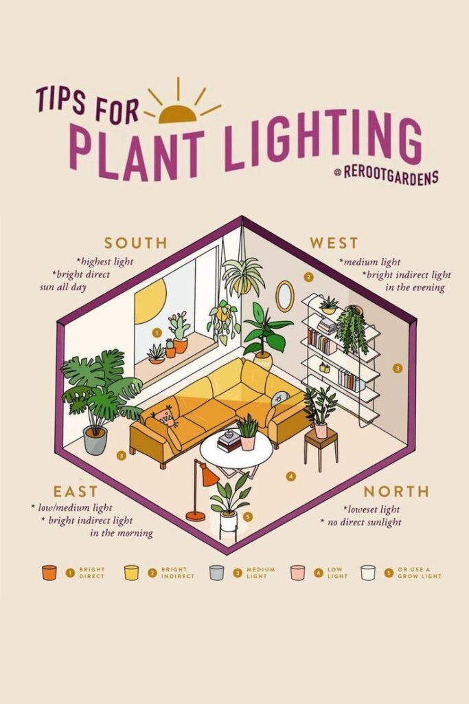 Indoor Plant Lighting Guide