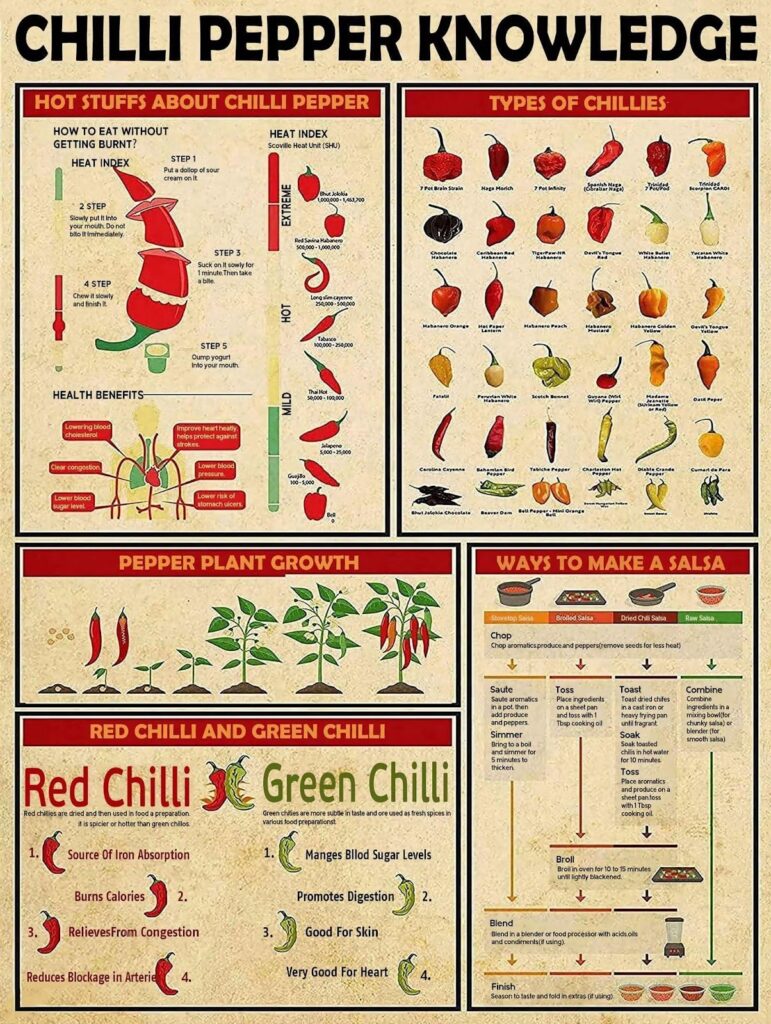 Amazon.com: GOThDOThYE Chilli Pepper Knowledge Metal Tin Sign Types Of Chillies Chart Wallart Artwork Poster Farm School Office People Cave Bedroom ...