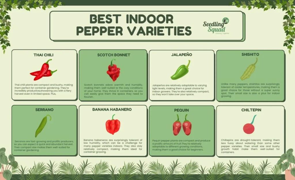 How to Grow Peppers Indoors: A Complete Guide | Seedling Squad