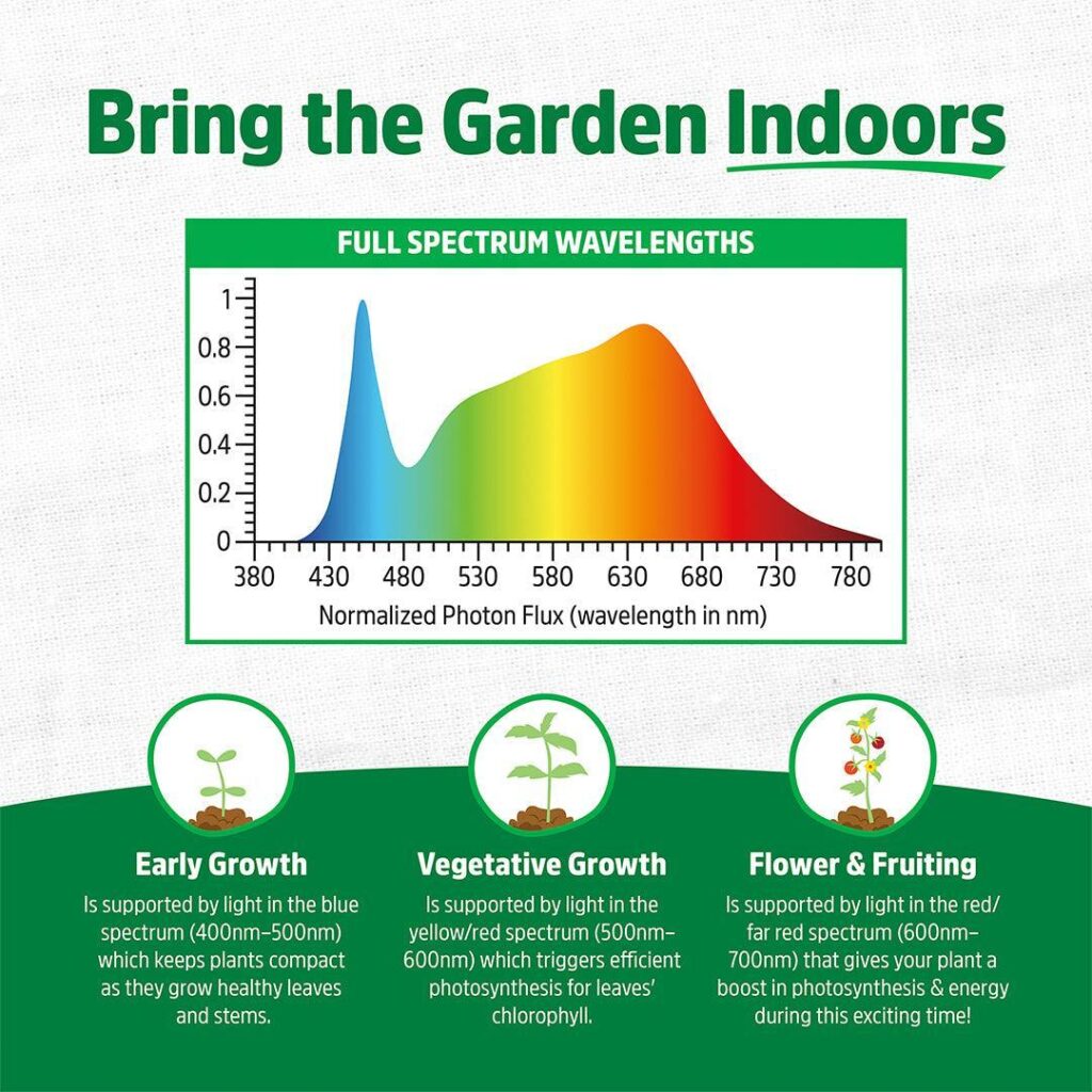 LED Grow Light Bulb Frequently Asked Questions – Back to the Roots