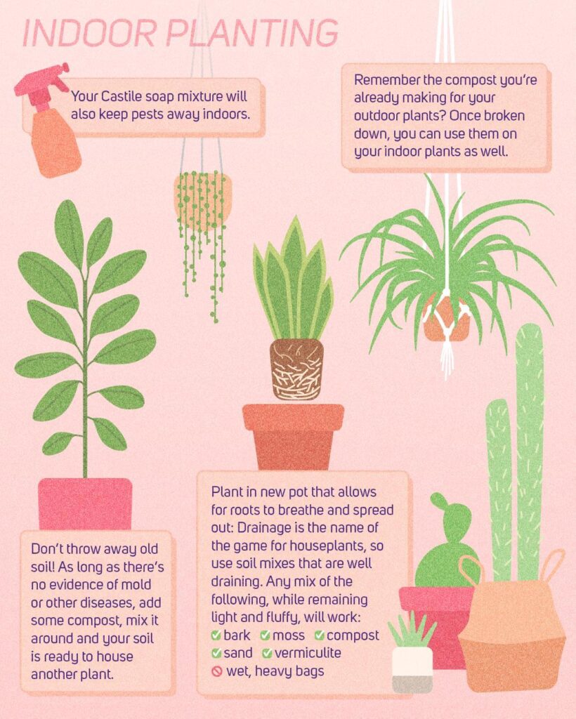 Plant parenting 101: starting with soil | College of the Environment