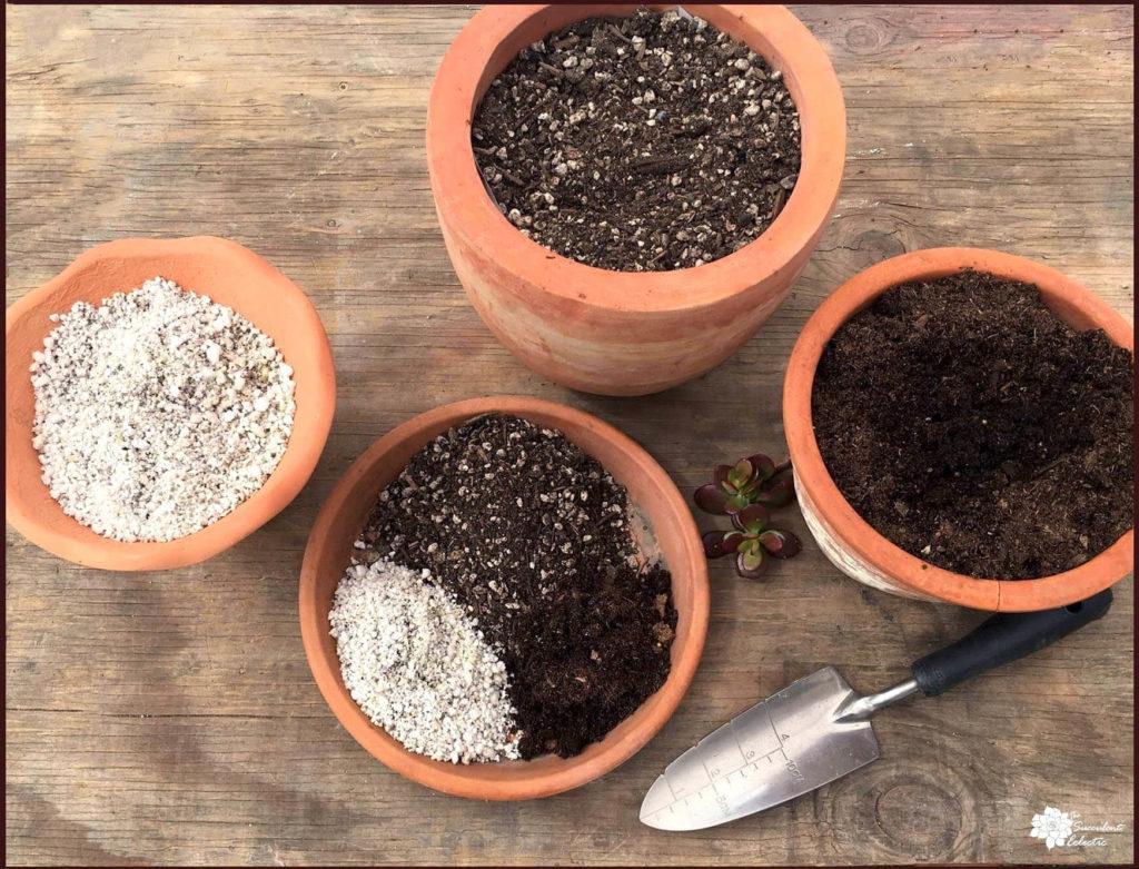 indoor plant soil mix recipe