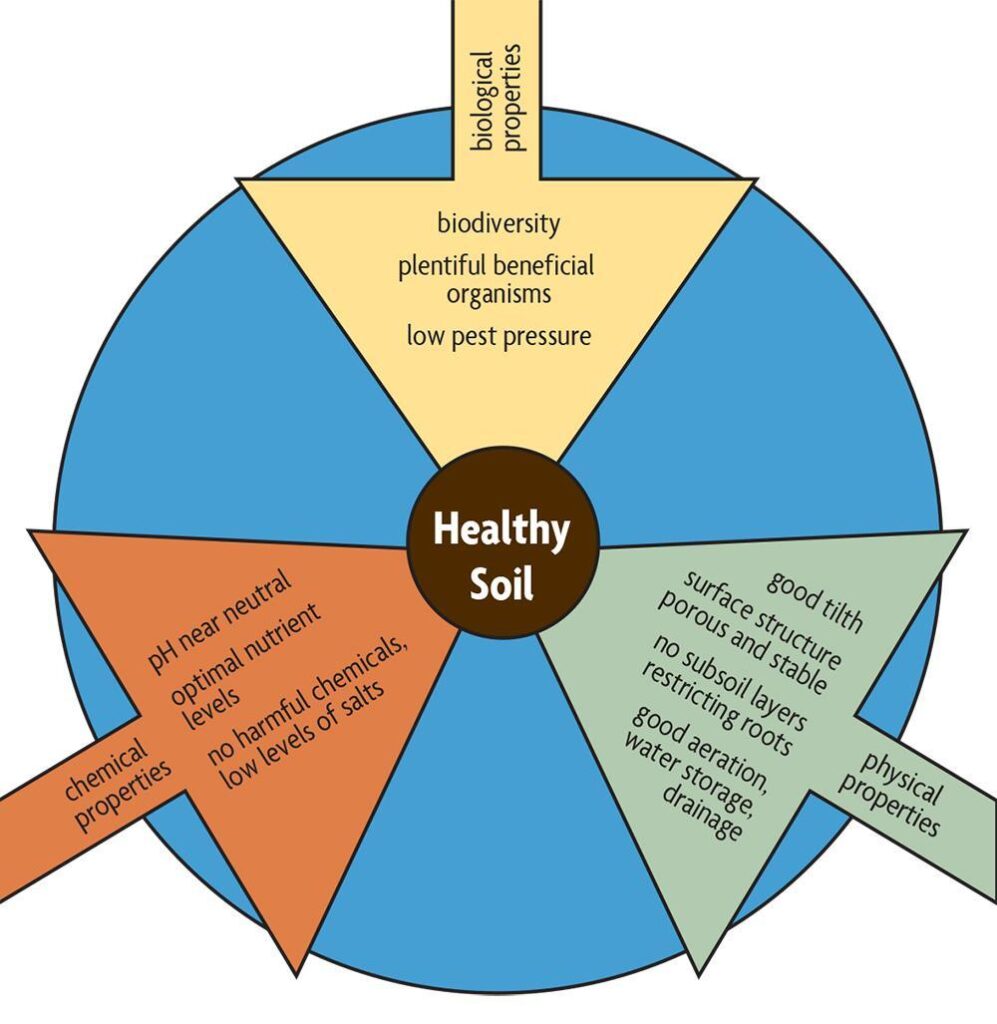 Soil Health, Plant Health and Pests - SARE