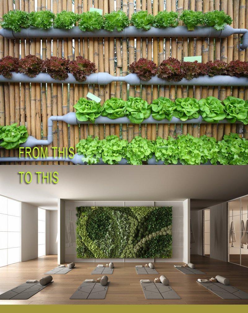 Indoor Hydroponic Gardens